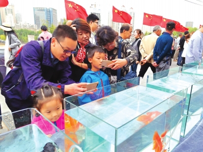長假期間，有趣的活動(dòng)吸引了市民圍觀